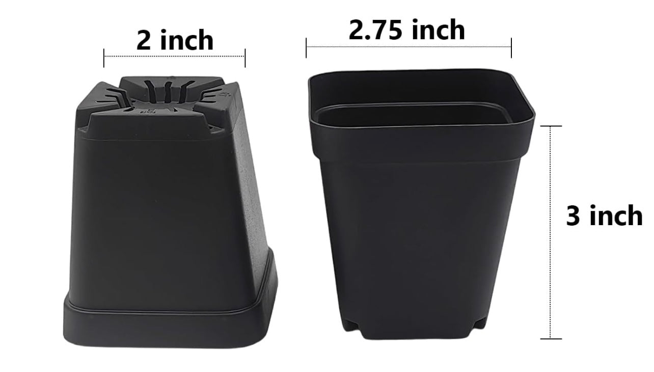 Potting Kits - Pitcher Perfect Plants