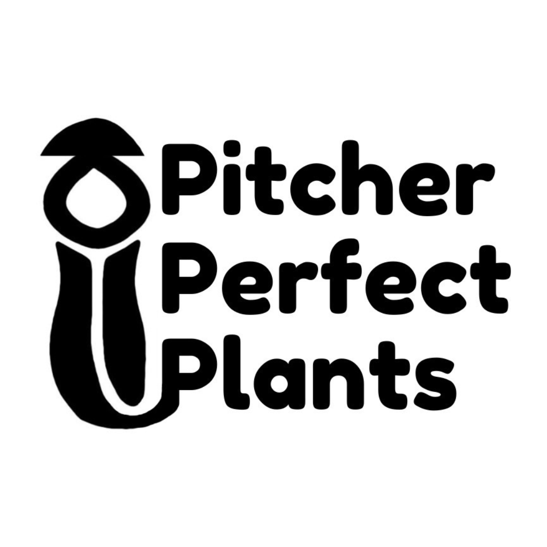 Gift Card - Pitcher Perfect Plants