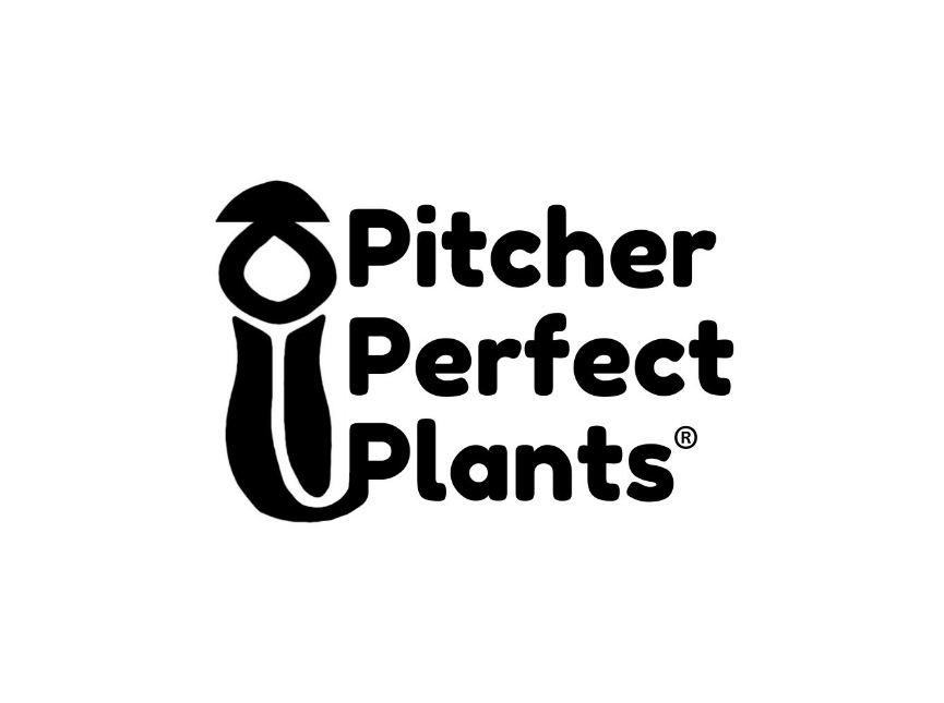 Gift Card - Pitcher Perfect Plants